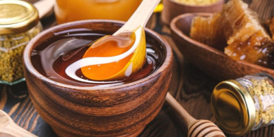 Як утворюється мед та інші продукти бджільництва